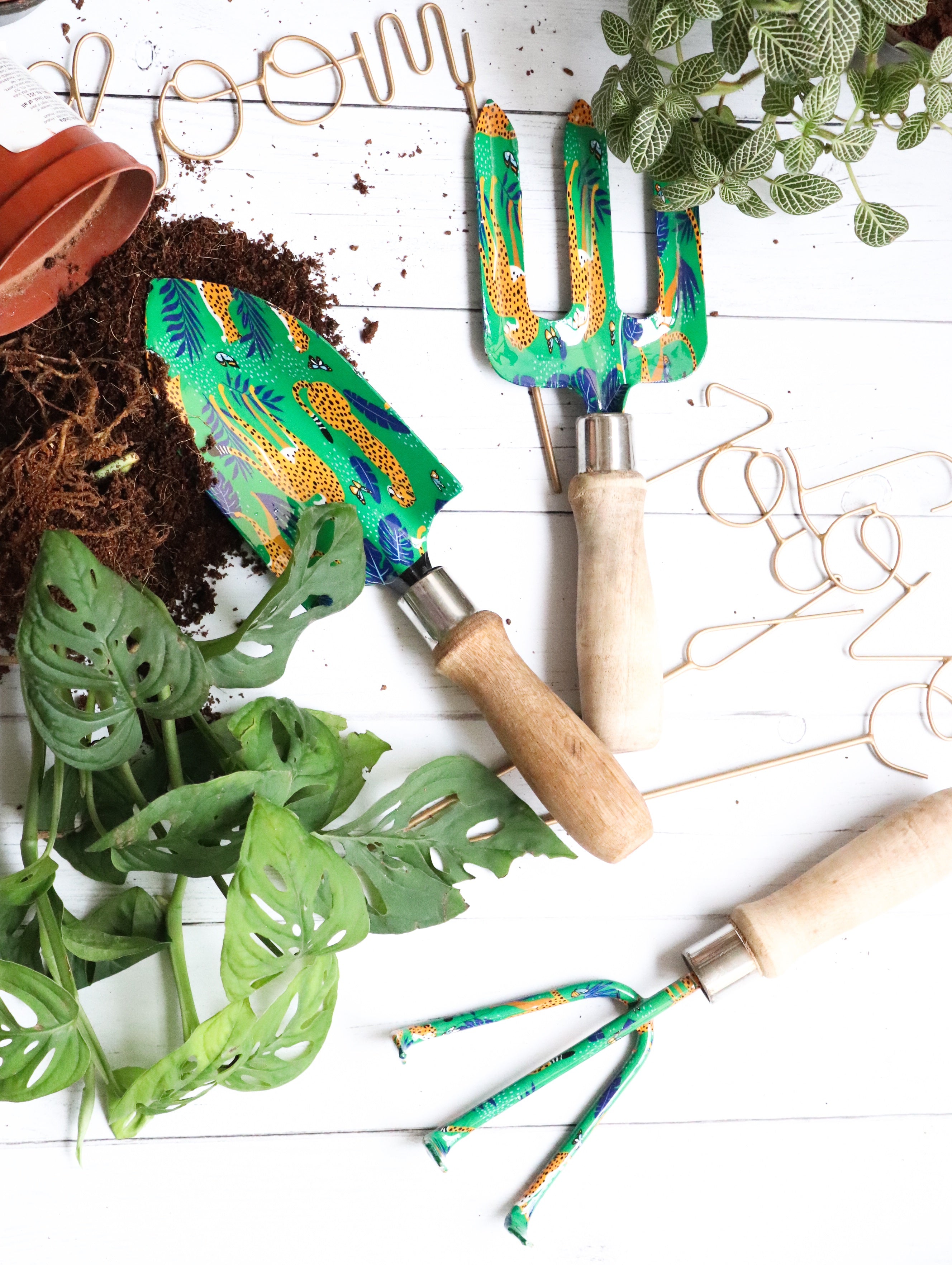 Buy Eco Garden Decor Online Kari by Kriti