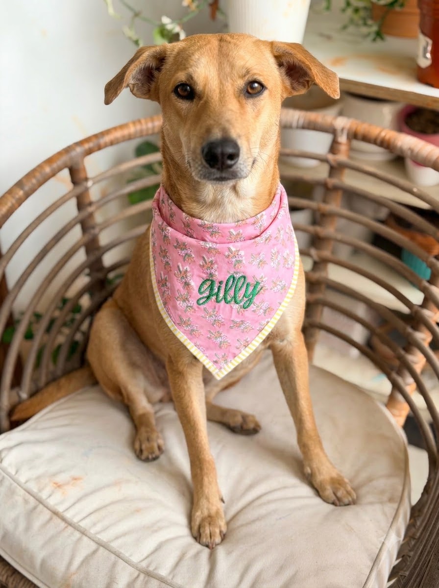 Personalized Block Print Dog Bandanas - 4 Prints