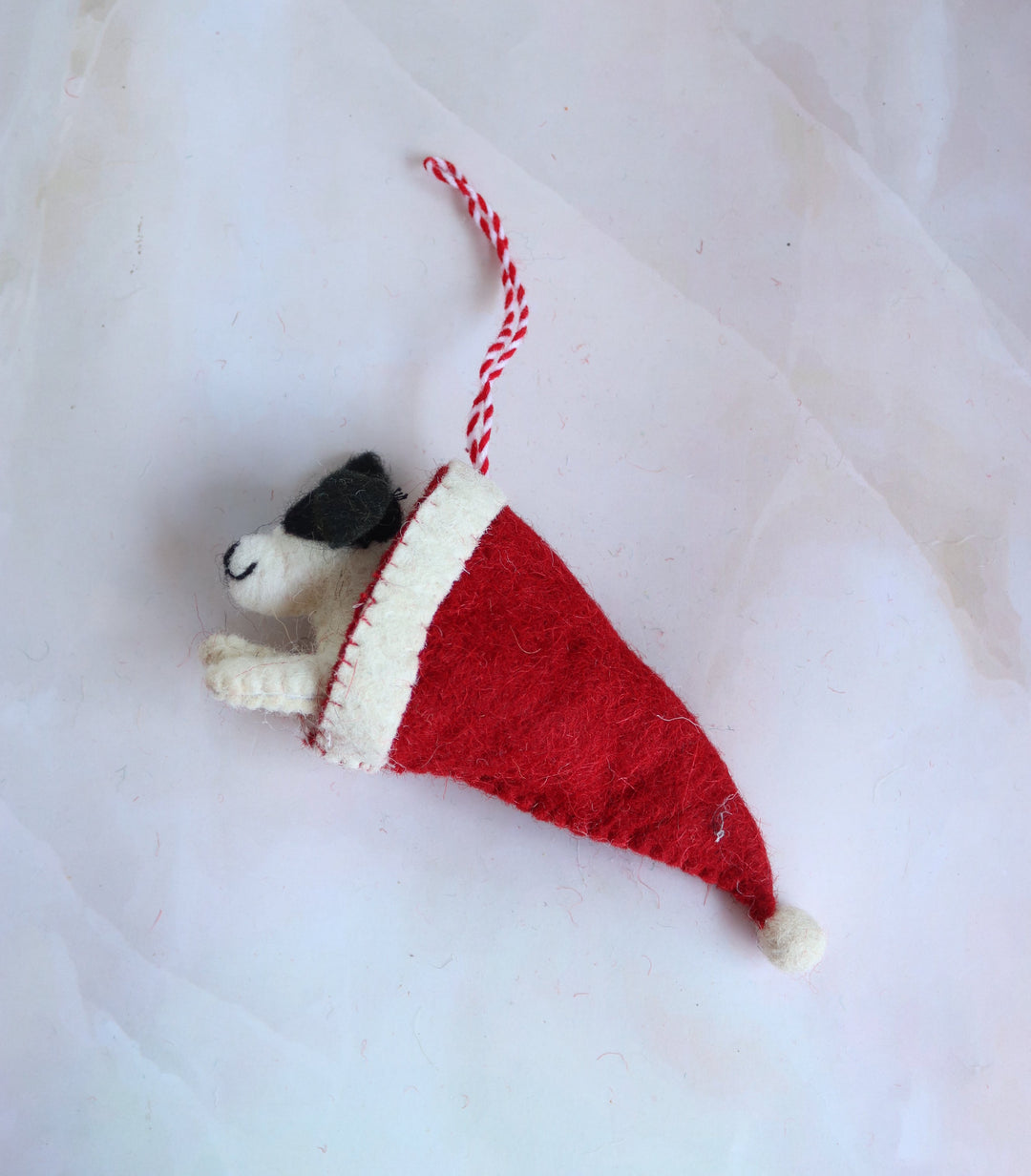 Puppy Jack in Santa&