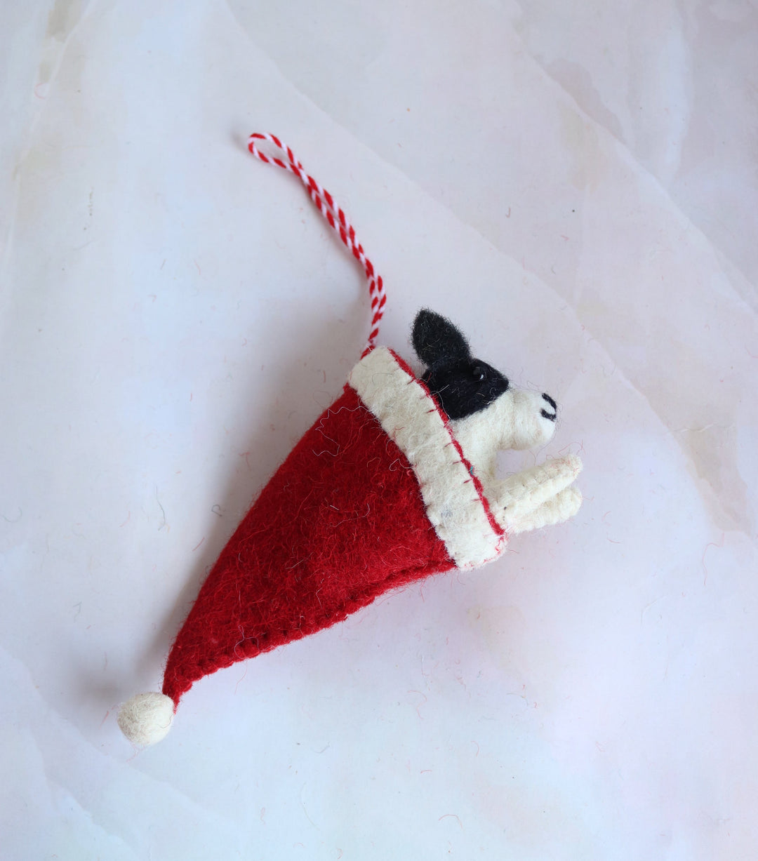Puppy Jack in Santa&