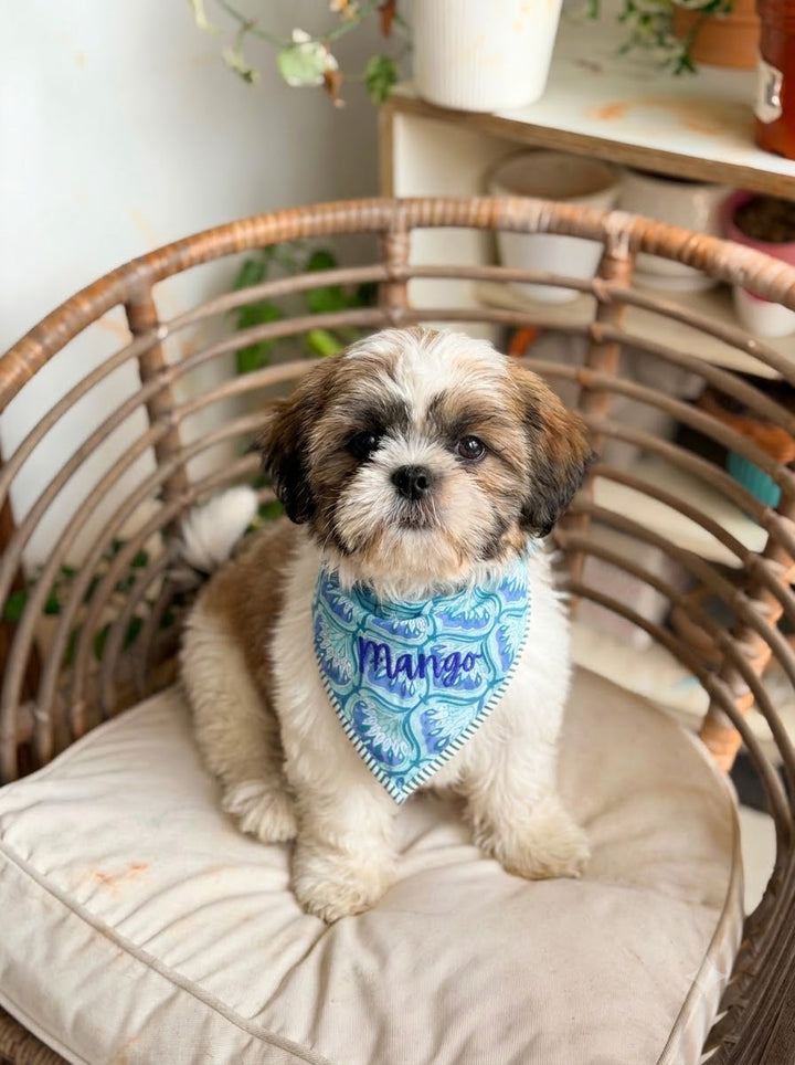 Personalized Block Print Dog Bandanas - 4 Prints