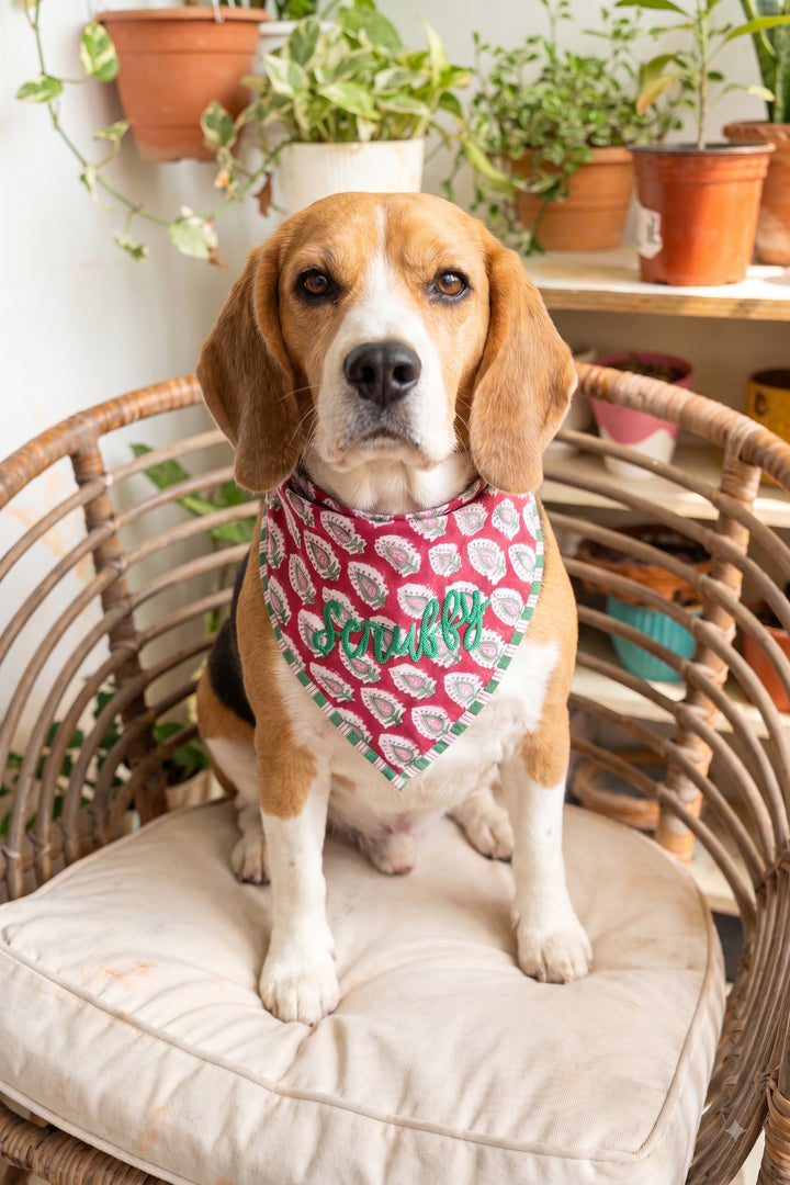 Personalized Block Print Dog Bandanas - 4 Prints