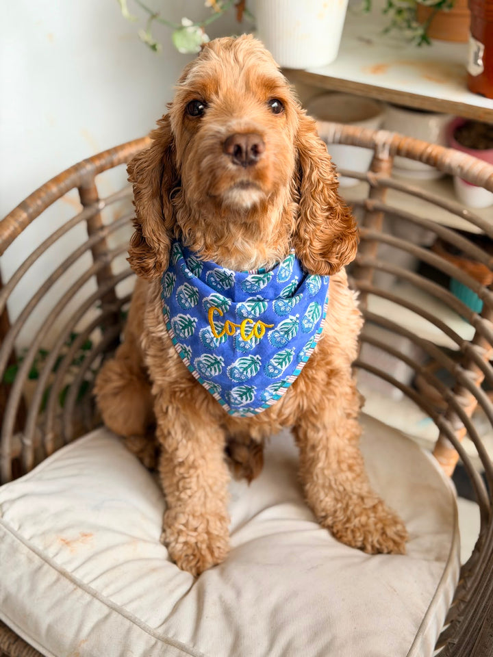 Personalized Block Print Dog Bandanas - 4 Prints