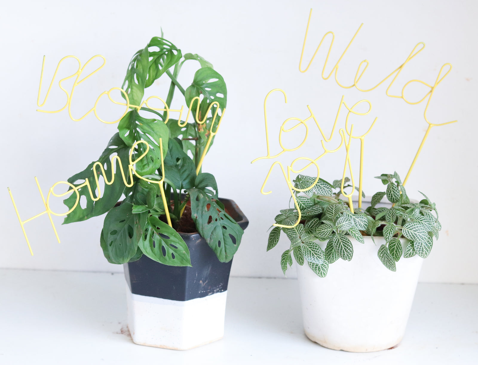 Garden stakes - Plant support sticks - Gardening sticks - Decorative plant stakes - Set of 5 - Yellow - Decor by Kari by Kriti