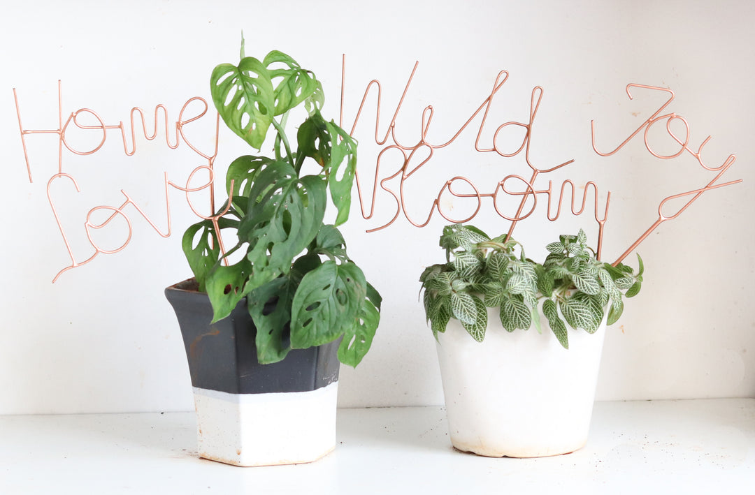 Garden stakes - Plant support sticks - Gardening sticks - Decorative plant stakes - Set of 5 - Rose Gold